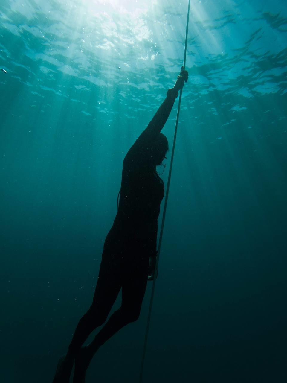 Freediving Courses Thailand