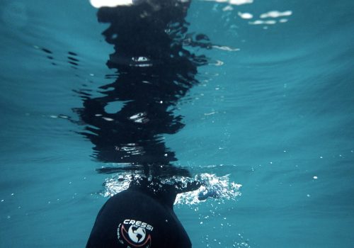 OI000005-scaled.jpg Freediving Courses Thailand